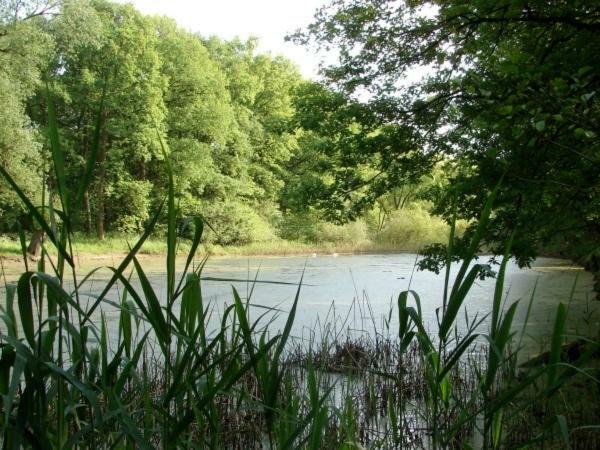 Ferienhaus Bindow Heidesee Екстер'єр фото